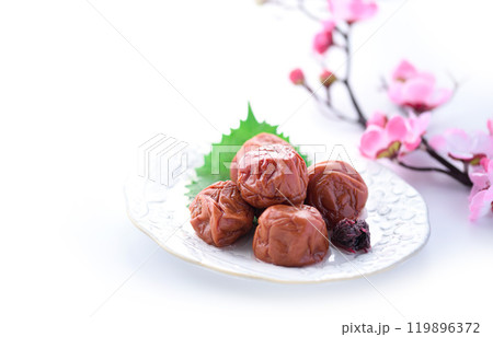 紀州南高梅 しそ漬け梅干 ( 白背景 ) 紀州南高梅 しそ漬け梅干 ( 白背景 ) 119896372