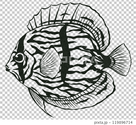 觀賞魚七彩的簡單黑白剪紙插圖 119896714