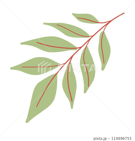 Illustrated green leaf branch with red veins, botanical design on white background, minimalistic Illustrated green leaf branch with red veins, botanical design on white background, minimalistic 119896755