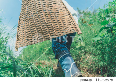 竹手箕を持って山に入る 竹手箕を持って山に入る 119896976