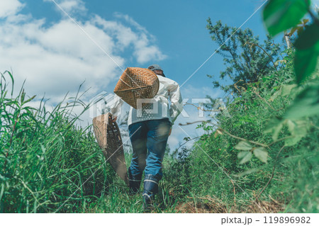 収穫かごと竹手箕を持って山に入る 119896982