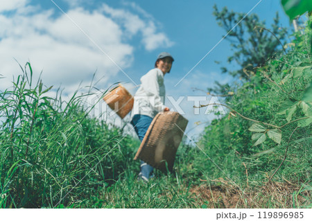 収穫かごと竹手箕を持って山に入る 119896985