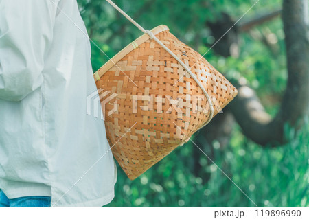 収穫かご 119896990