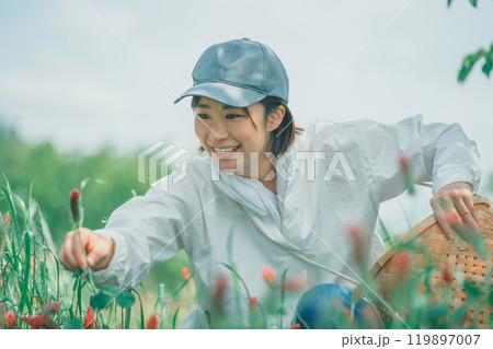 ストロベリーキャンドルを収穫する花卉農家 ストロベリーキャンドルを収穫する花卉農家 119897007
