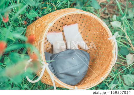 野山に置かれた収穫かごの中の軍手と帽子 119897034