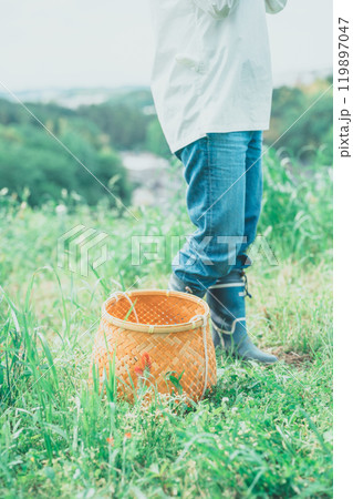 野山で収穫する女性 119897047