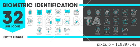 Biometric identification, recognition and verification line icons. Vector outline face and fingerprint scan, identity id, voice access and digital signature, DNA, eye, palm and ear recognition signs 119897548