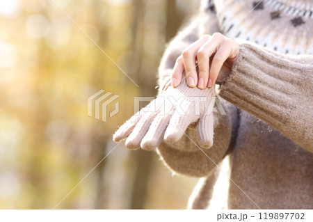 Woman hands putting gloves in winter Woman hands putting gloves in winter 119897702