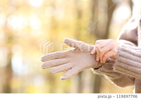 Woman hands putting wool gloves in a cold autumn 119897706