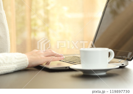 Woman hands using laptop sitting on a table at home 119897730