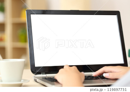 Woman hands using laptop with blank screen at home 119897731