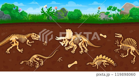 Archeology and paleontology dinosaur fossil in soil layers. Cartoon vector ground cross section view with ancient dino species bones and skeletons excavations. Studies of prehistoric animals relics Archeology and paleontology dinosaur fossil in soil layers. Cartoon vector ground cross section view with ancient dino species bones and skeletons excavations. Studies of prehistoric animals relics 119898060