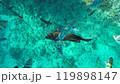 A tropical fish . Red Sea Egypt 119898147
