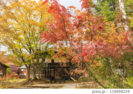 秋の尾瀬　草紅葉と森の紅葉　沼尻〜白砂峠〜見晴 119898259