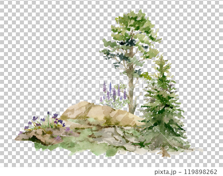 Scenery landscape of forest meadow grassland with bushes flowers, pine fir spruce tree on alpine rocks, hand drawn in watercolor. Illustration for tourism, resort ads, hiking camping sites vacation. Scenery landscape of forest meadow grassland with bushes flowers, pine fir spruce tree on alpine rocks, hand drawn in watercolor. Illustration for tourism, resort ads, hiking camping sites vacation. 119898262