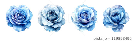 A collection of four blue roses, each with a unique color variation and texture, is displayed against a neutral background. A collection of four blue roses, each with a unique color variation and texture, is displayed against a neutral background. 119898496