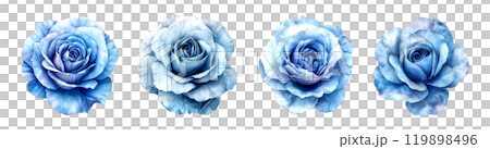 A collection of four blue roses, each with a unique color variation and texture, is displayed against a neutral background. A collection of four blue roses, each with a unique color variation and texture, is displayed against a neutral background. 119898496