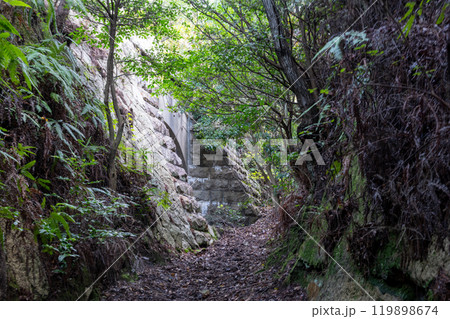 日本の広島県竹原市の大久野島の悲しくも美しい風景 日本の広島県竹原市の大久野島の悲しくも美しい風景 119898674