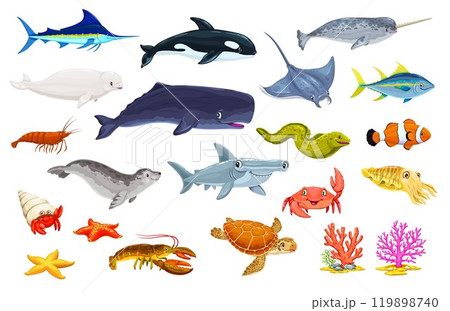 Cartoon underwater animal and fish characters. Cute sea and ocean life vector personages. Marine turtle, whale, hammerhead shark and orca, funny crab, starfish, stingray, narwhal, shrimp and corals 119898740