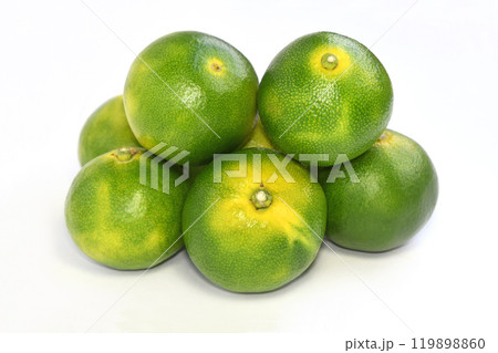 みかん（服部早生） 119898860