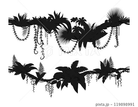 Tropical forest liana silhouettes of vector jungle tree branches with climbing plant and creeper vines, moss and fern leaves. Rainforest jungle liana isolated silhouettes, border lines and dividers Tropical forest liana silhouettes of vector jungle tree branches with climbing plant and creeper vines, moss and fern leaves. Rainforest jungle liana isolated silhouettes, border lines and dividers 119898991