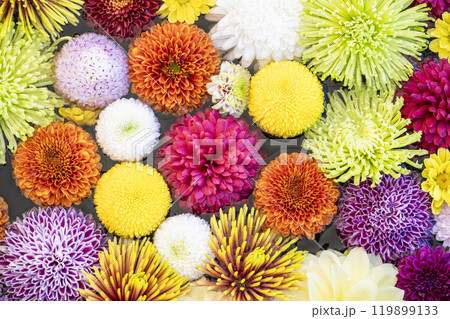 鮮やかな花手水（菊手水）　山形県南陽市 119899133