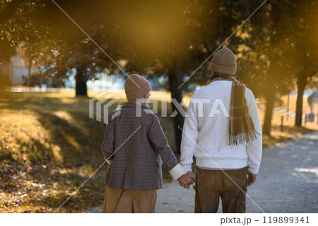 Rear view of beautiful senior couple during walk in autumn park. Elderly husband and wife holding hands during stroll. Rear view of beautiful senior couple during walk in autumn park. Elderly husband and wife holding hands during stroll. 119899341