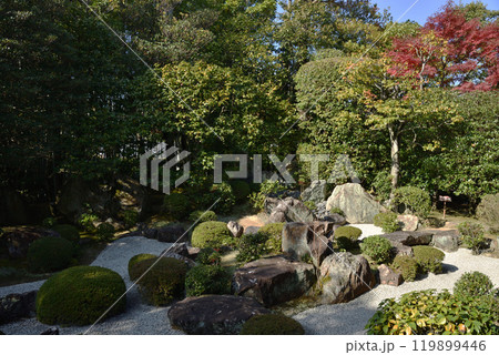 妙心寺塔頭　退蔵院　元信の庭【名勝史跡庭園】 119899446