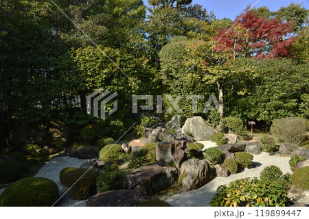 妙心寺塔頭 退蔵院 元信の庭【名勝史跡庭園】 妙心寺塔頭 退蔵院 元信の庭【名勝史跡庭園】 119899447