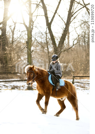 Young girl spending cold winter weekend on family farm, riding her brown fluffy pony through snowy countryside. 119899720