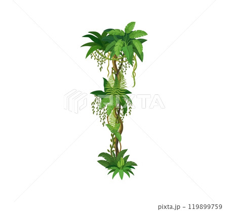 Jungle forest vertical liana, vine branch. Amazon rain forest jungle vine twig isolated cartoon vector floral line, African jungle creeper plant or tropical rainforest nature liana botanical border Jungle forest vertical liana, vine branch. Amazon rain forest jungle vine twig isolated cartoon vector floral line, African jungle creeper plant or tropical rainforest nature liana botanical border 119899759