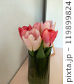 Pink tulips in a vase selective focus. Tulips bouquet. Beautiful flowers close up. Valentine day. Womans day. Romantic vibe. Floral background. Copy space. High quality photo. 119899824