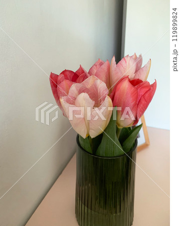 Pink tulips in a vase selective focus. Tulips bouquet. Beautiful flowers close up. Valentine day. Womans day. Romantic vibe. Floral background. Copy space. High quality photo. 119899824