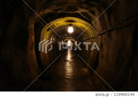 黒部峡谷とトロッコ電車 119900140