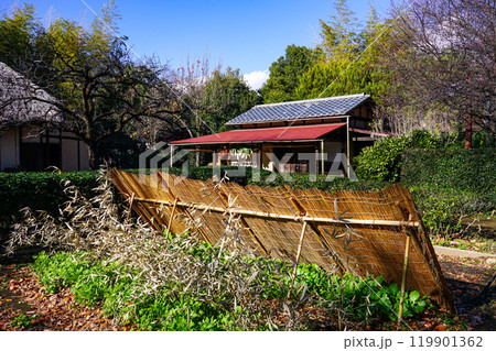 陽当たりの良い軒下に吊るされた干し野菜（東京都世田谷区） 119901362