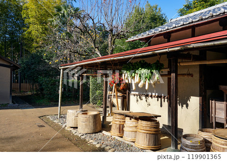 陽当たりの良い軒下に吊るされた干し野菜（東京都世田谷区） 119901365
