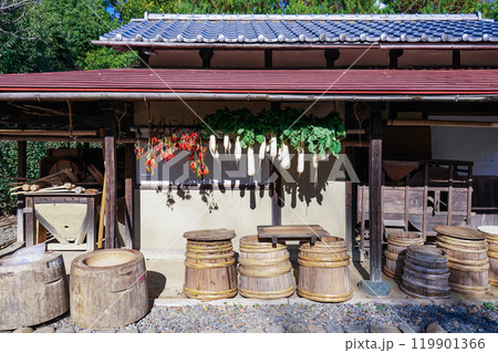 陽当たりの良い軒下に吊るされた干し野菜（東京都世田谷区） 119901366