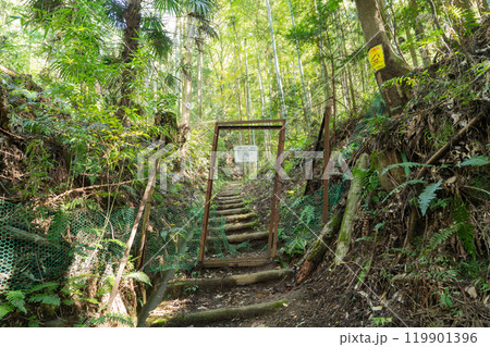 順礼峠の入口（白山順礼峠ハイキングコース） 119901396