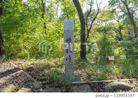 順礼峠（白山順礼峠ハイキングコース） 119901397