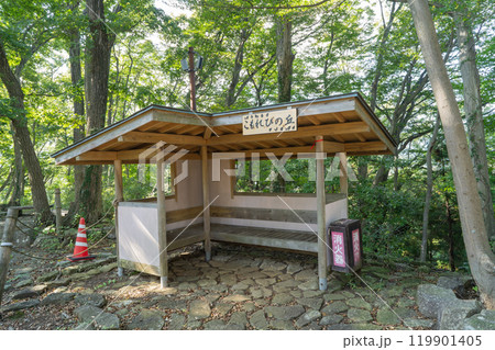 こもれびの丘(七沢森林公園) こもれびの丘(七沢森林公園) 119901405