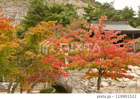 あぶくま神社と紅葉 あぶくま神社と紅葉 119901522