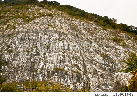 大滝根山の岸壁の岩肌 119901648