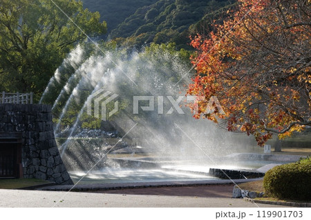 吉香公園の紅葉 119901703