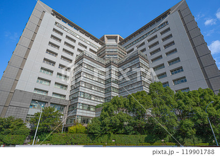 東京出入国在留管理局(港区港南) 119901788