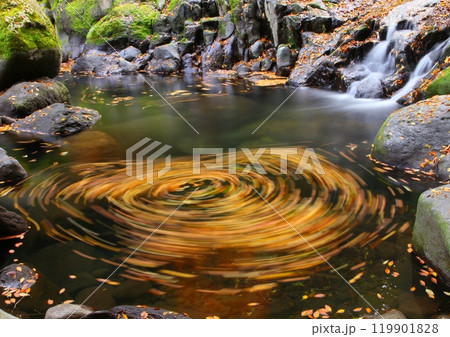 秋の菊池渓谷(菊池市) 秋の菊池渓谷(菊池市) 119901828