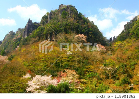 春の一目八景（耶馬溪・中津市） 119901862