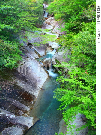 新緑の藤河内渓谷（佐伯市・縦構図） 119901866