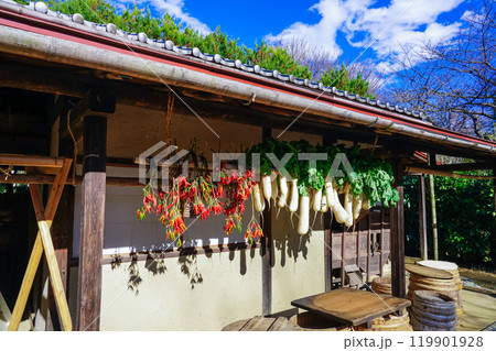陽当たりの良い軒下に吊るされた干し野菜(東京都世田谷区) 陽当たりの良い軒下に吊るされた干し野菜(東京都世田谷区) 119901928