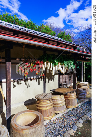 陽当たりの良い軒下に吊るされた干し野菜(東京都世田谷区) 陽当たりの良い軒下に吊るされた干し野菜(東京都世田谷区) 119901929
