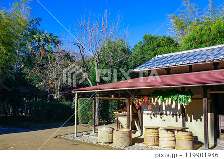 陽当たりの良い軒下に吊るされた干し野菜（東京都世田谷区） 119901936